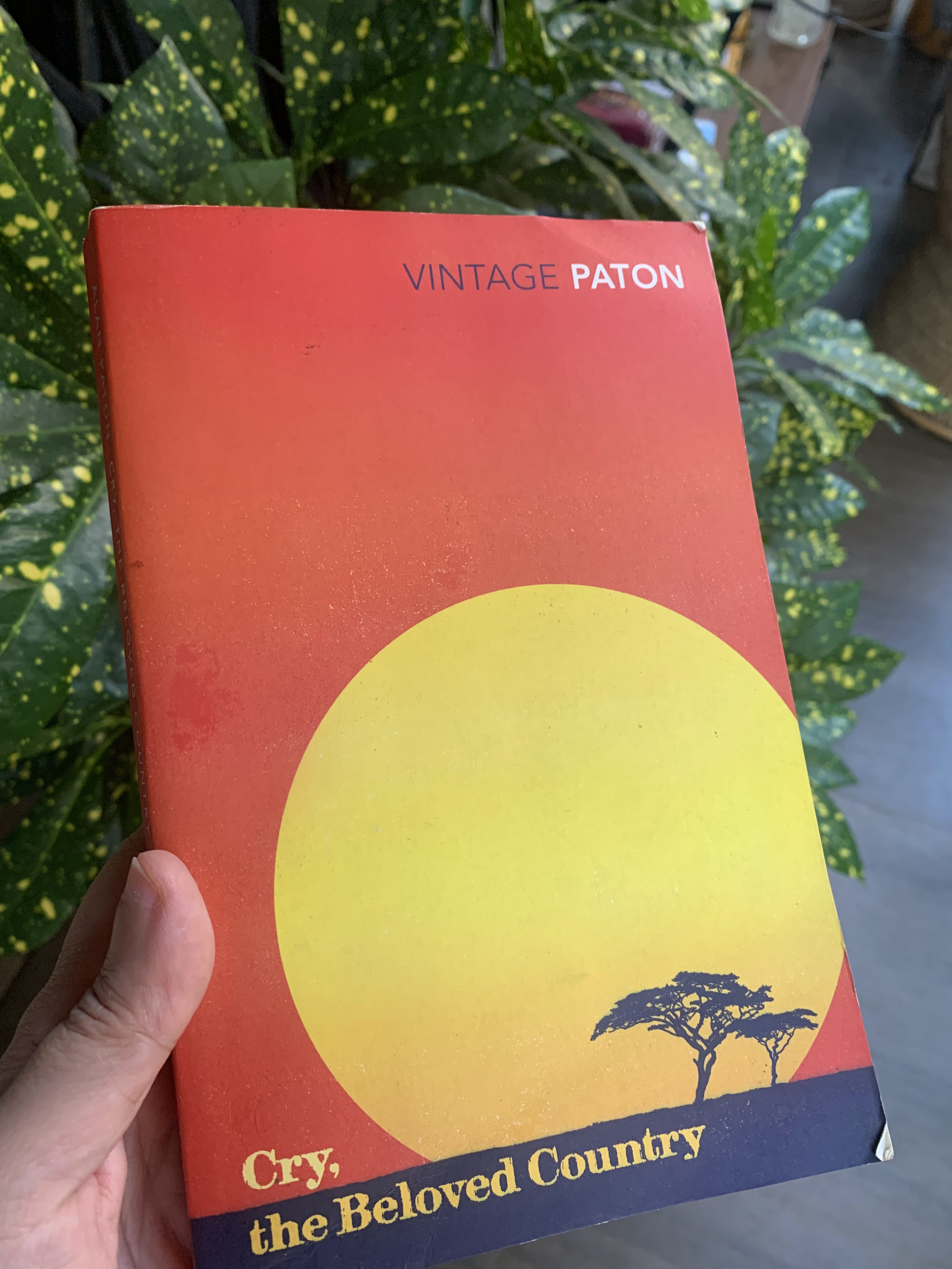 Cry, the Beloved Country -Alan Paton