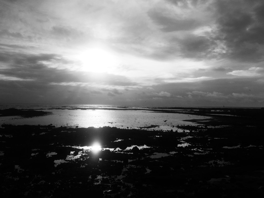 iPhotograph- Yin and Yang