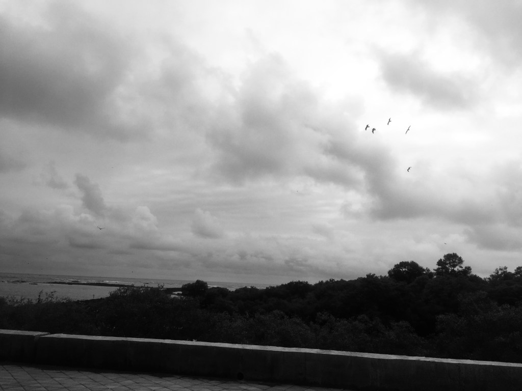 iPhotograph- Yin and Yang