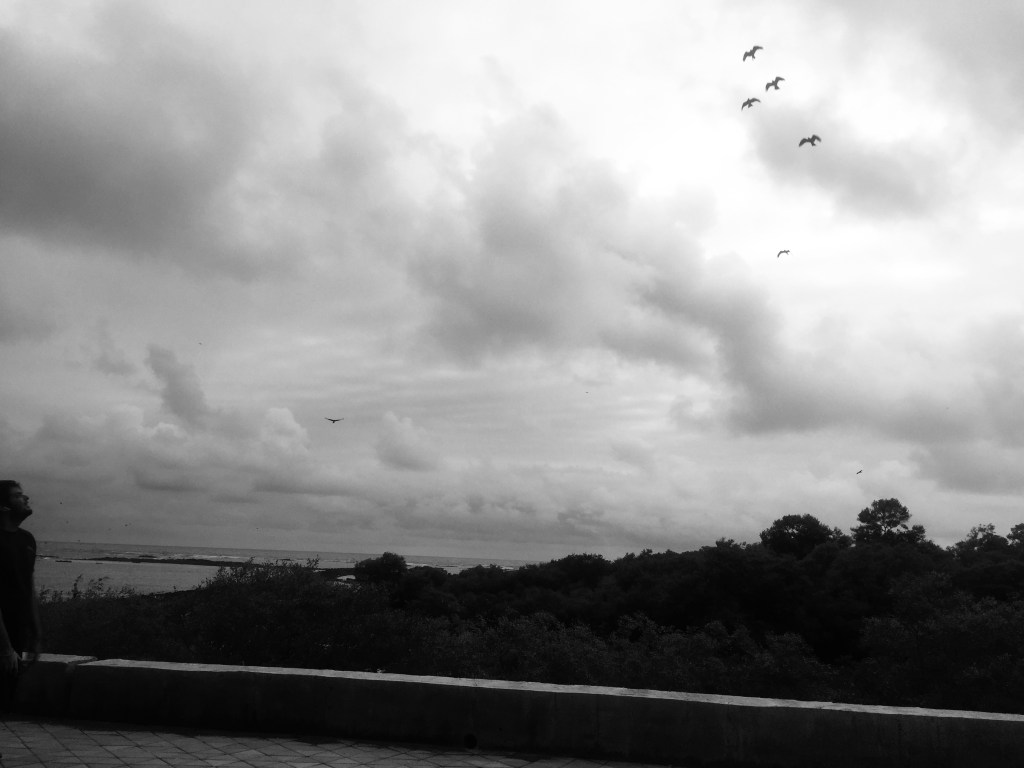 iPhotograph- Yin and Yang