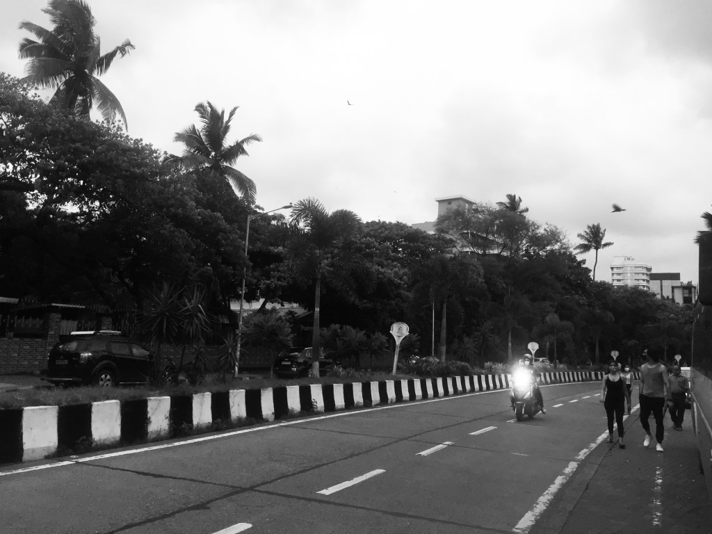 iPhotograph- Yin and Yang