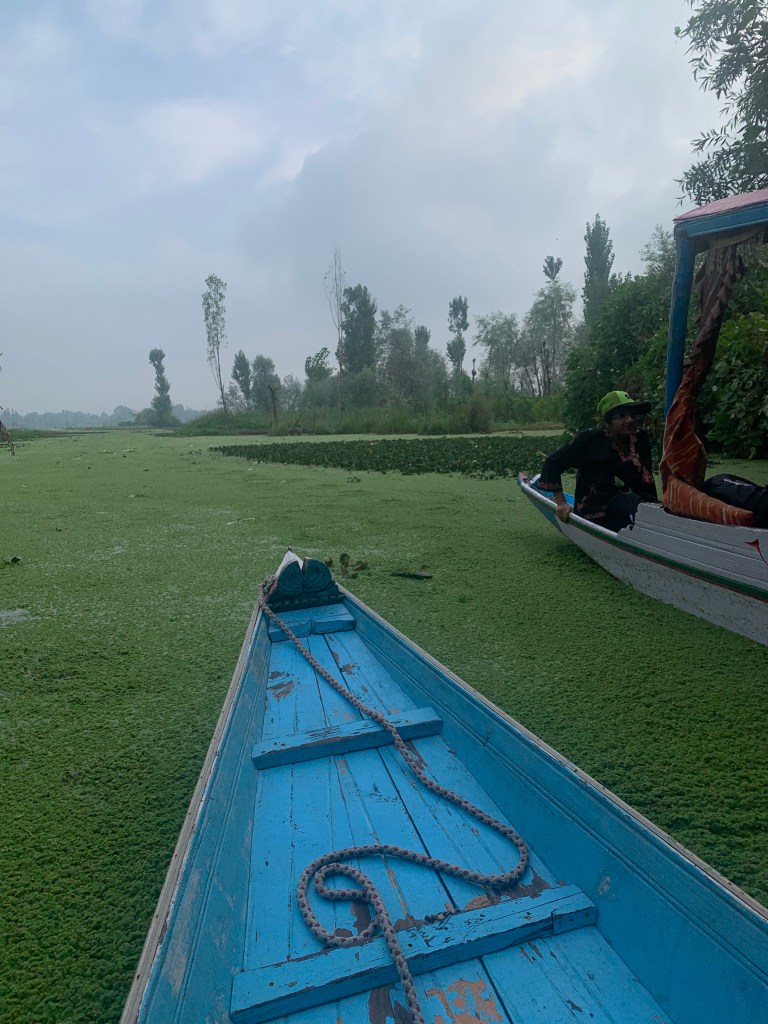 Nigeen Lake