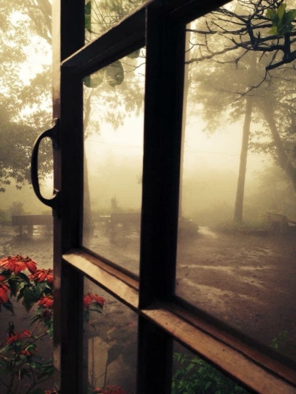 iPhotograph- The Window