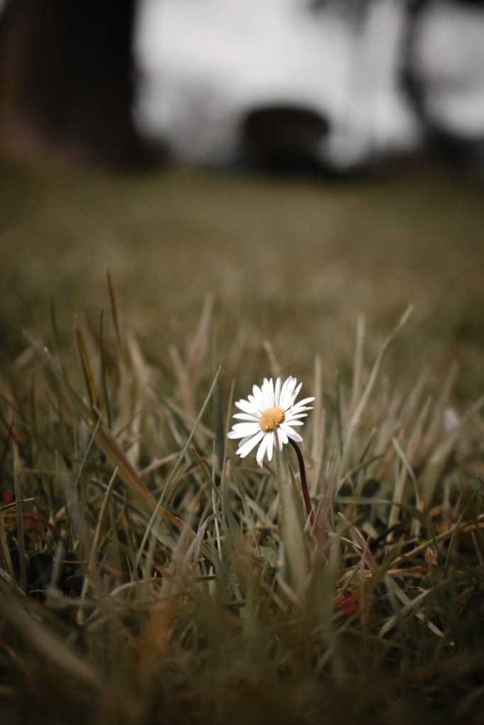 Short Stories by Rabindranath Tagore