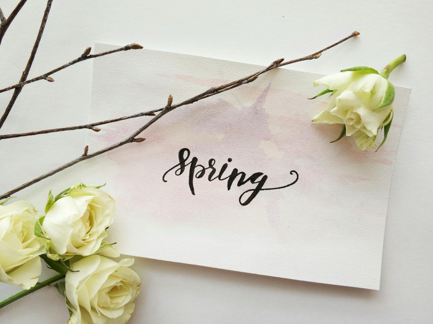Rejoice the Spring in you!