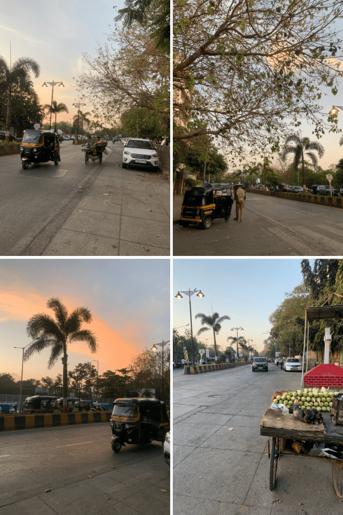 iPhotograph- The Wonder in the Usual
trees