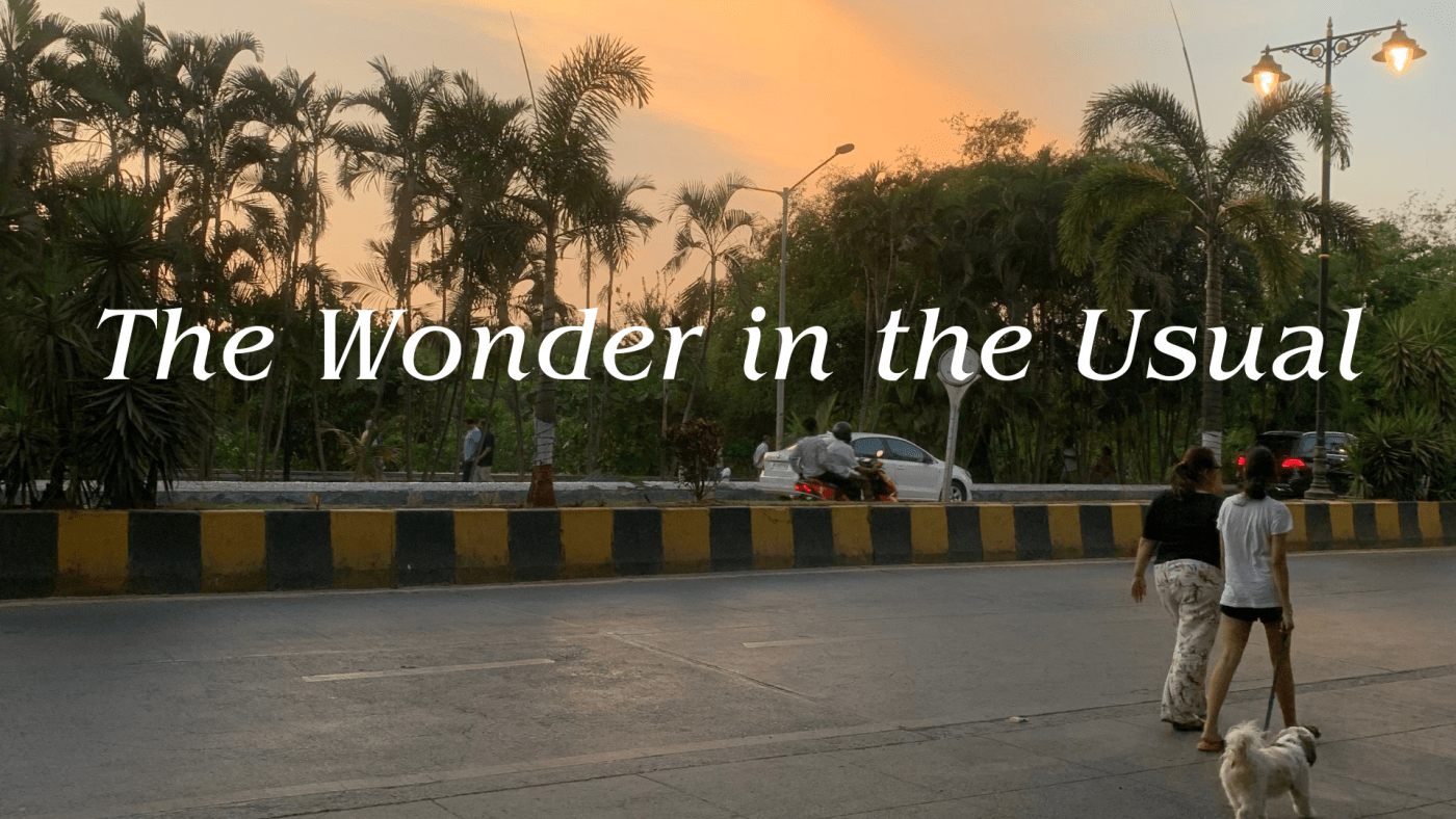 iPhotograph- The Wonder in the Usual