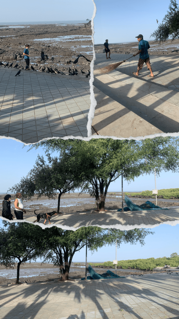 Promenade
Daylight