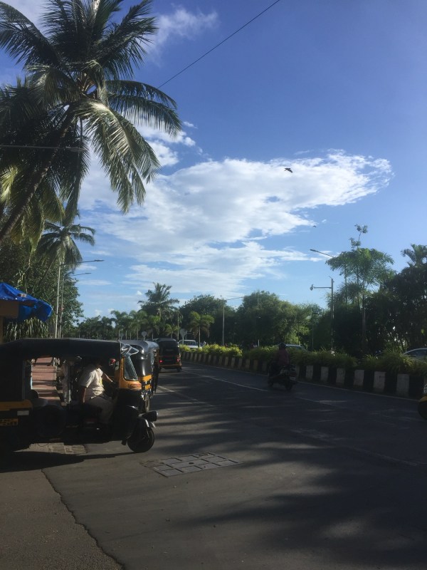 Rickshaw A Friend in Him