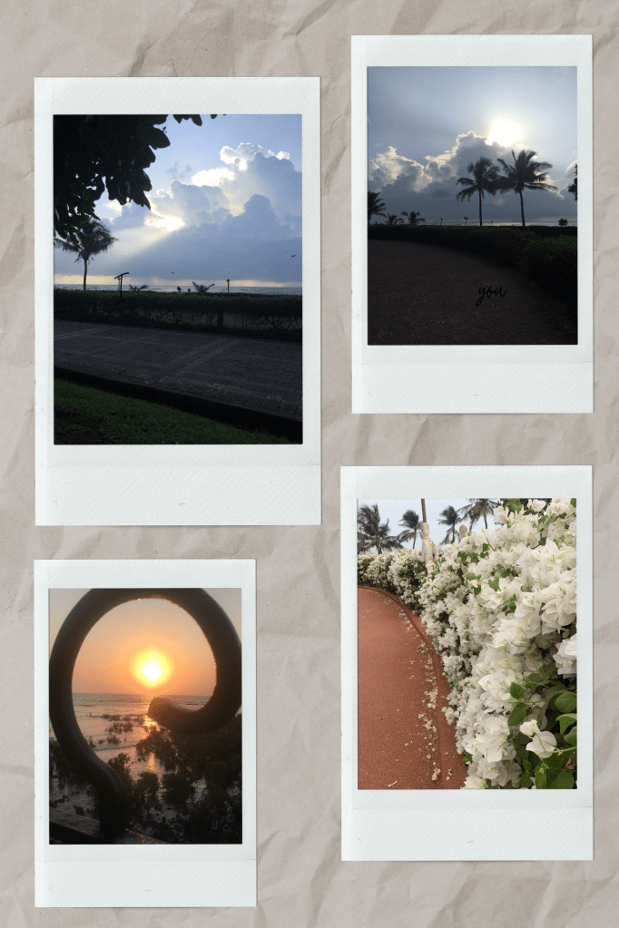 Jogger’s Park
Let’s go to the Park!