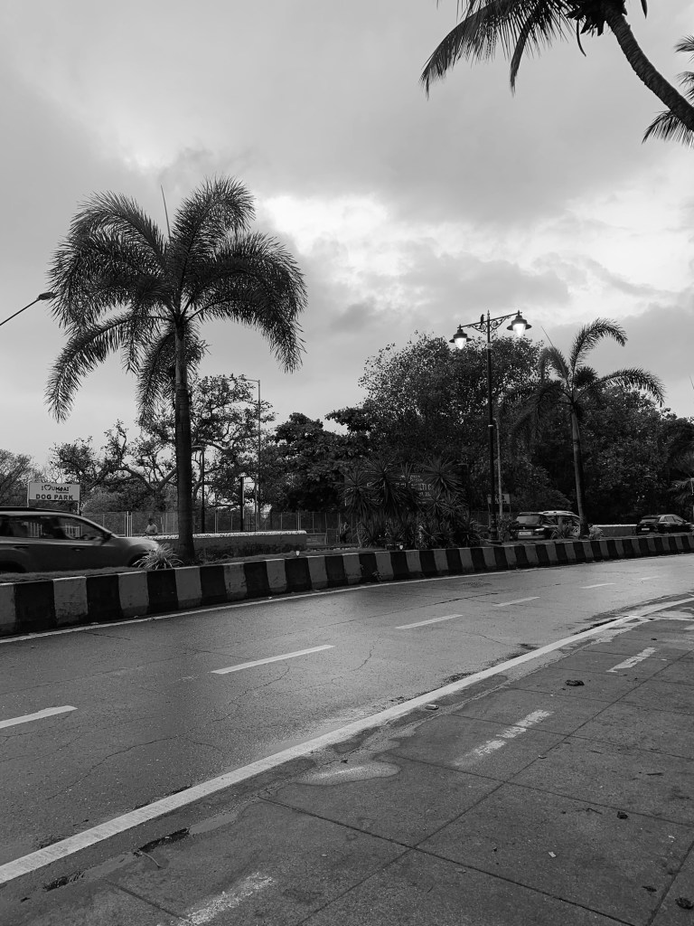 Grey clouds
Drizzle and Yellows
