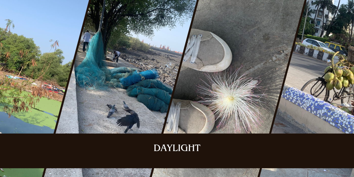 Daylight