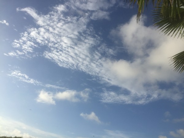 Life is a trite thing sky