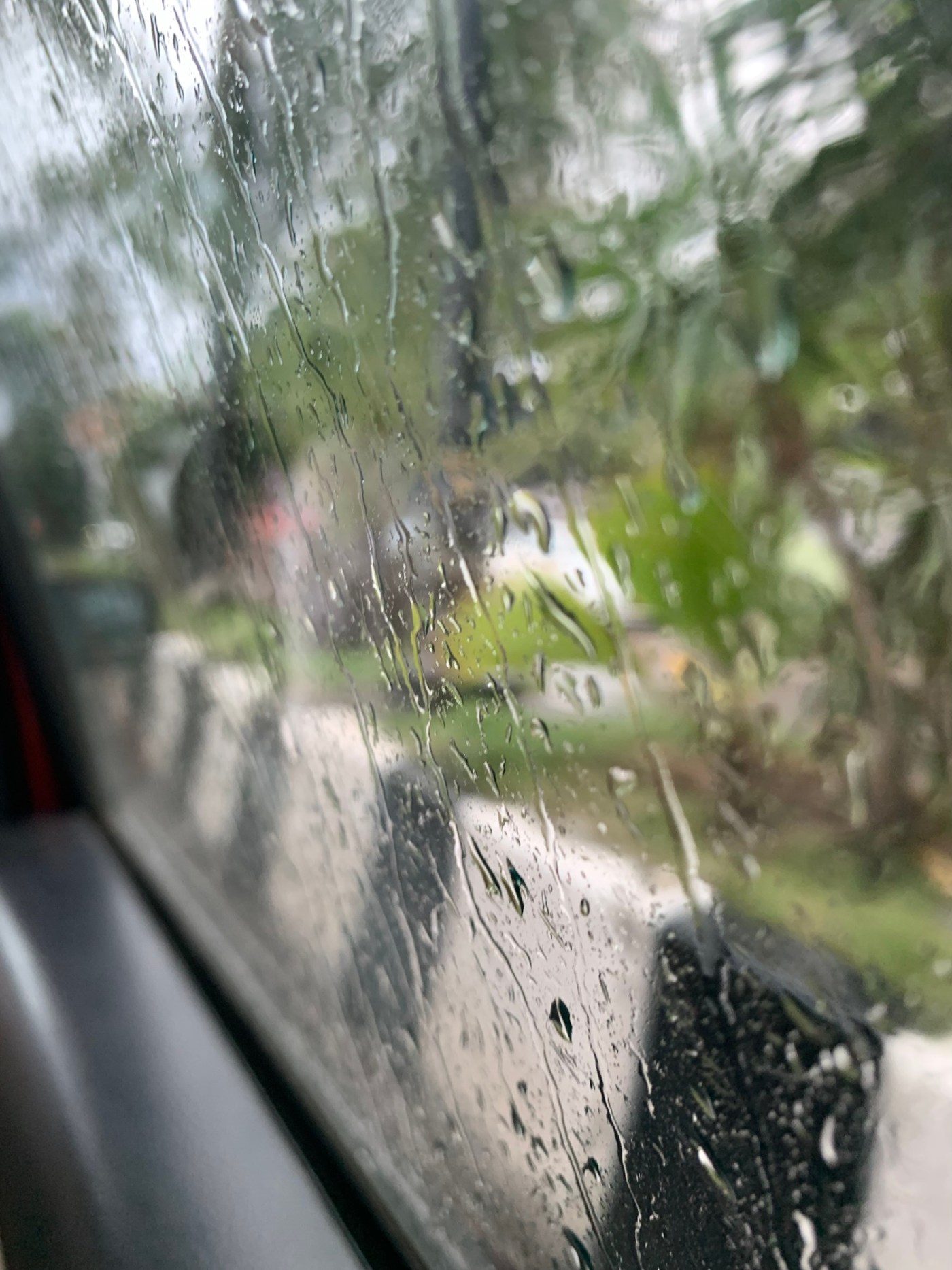 Faith Logs Rain