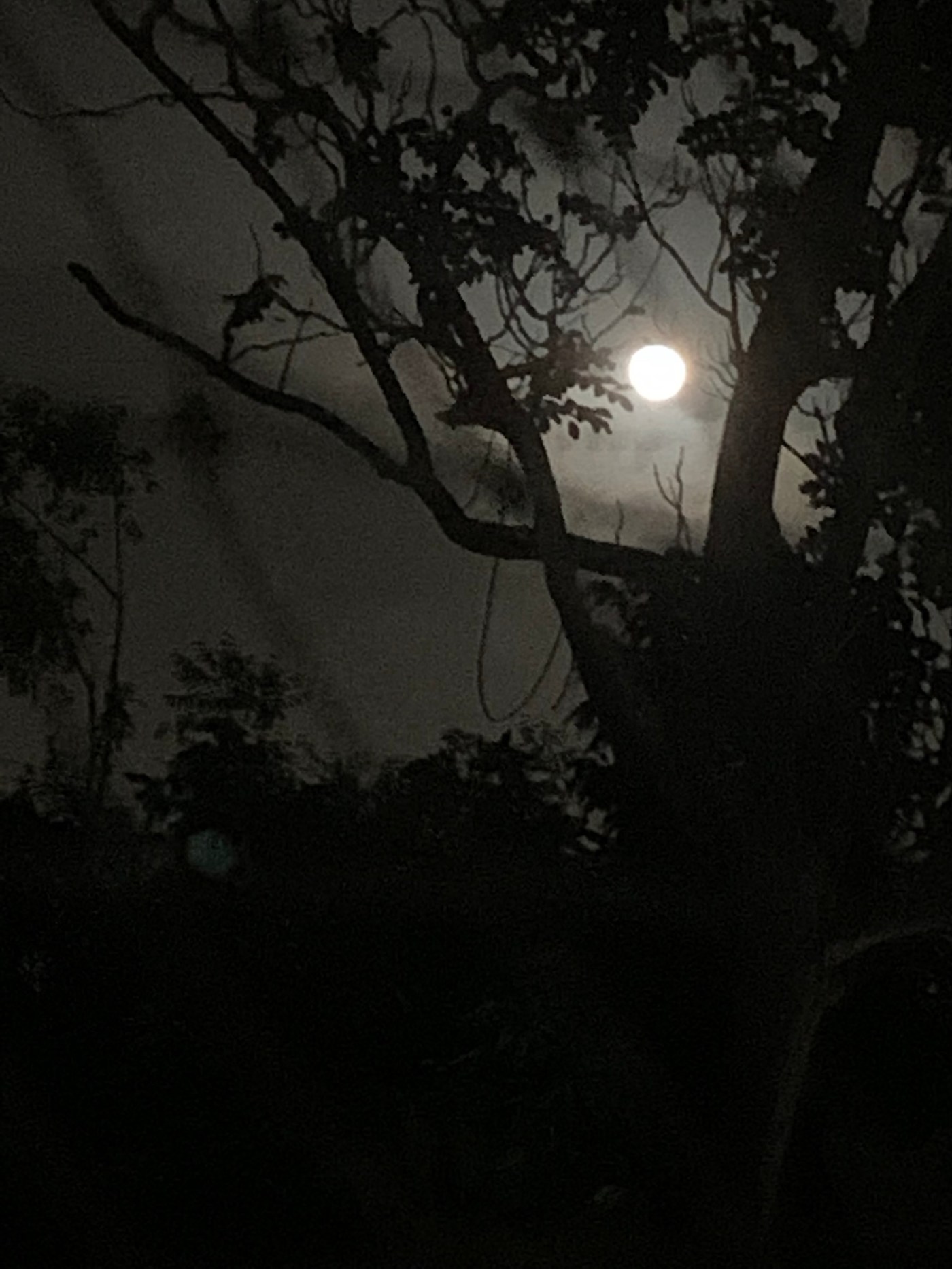 Moon Shine