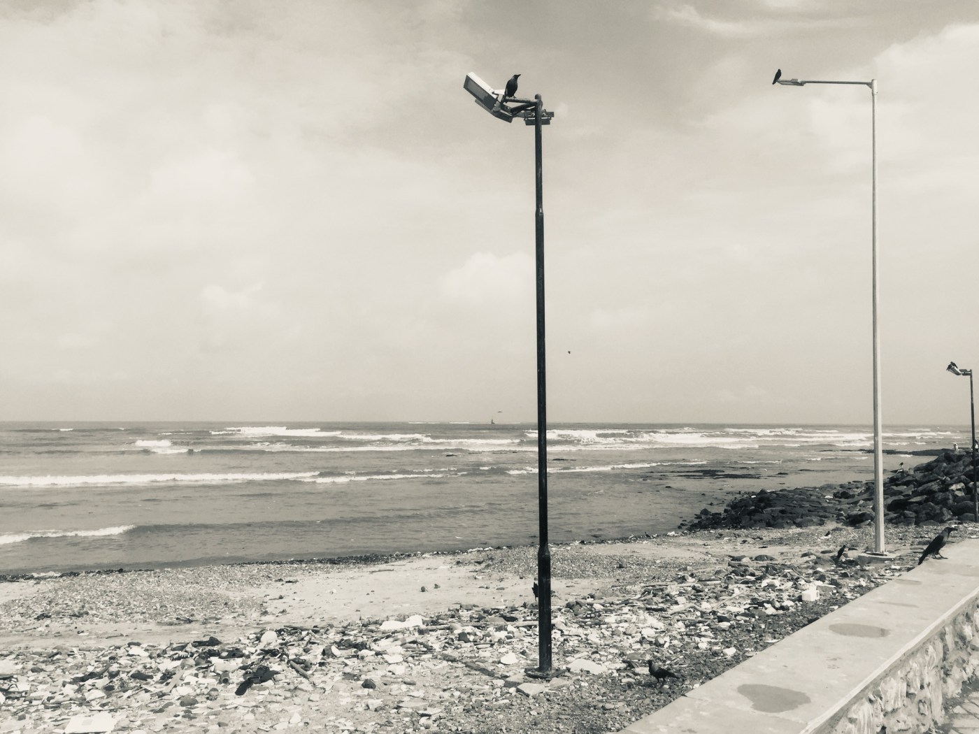 Sea wasted time